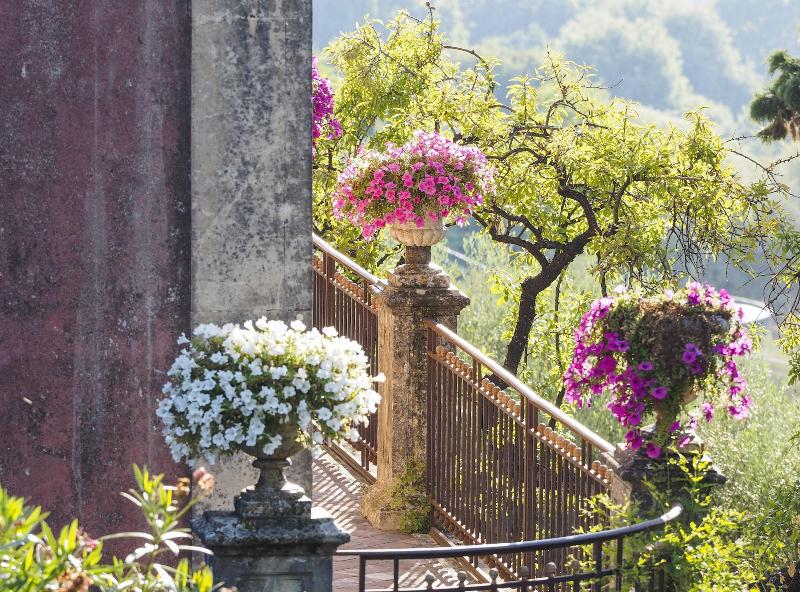 Monaci delle Terre Nere - Genel