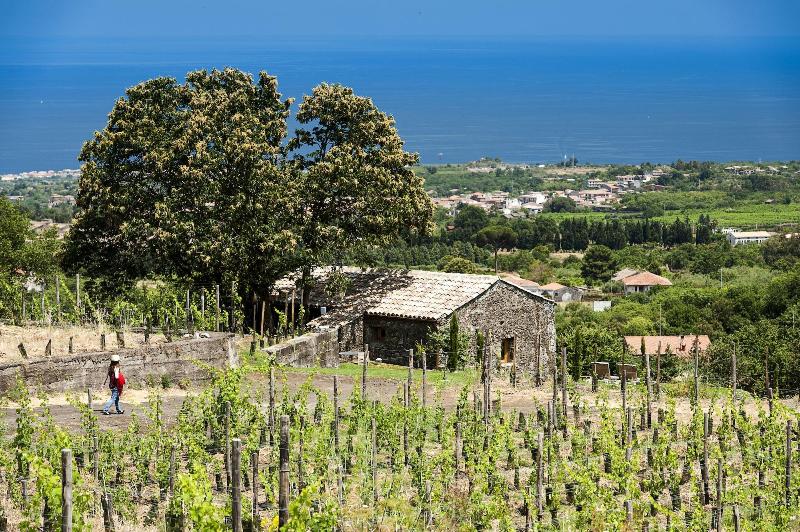Monaci delle Terre Nere - Oda