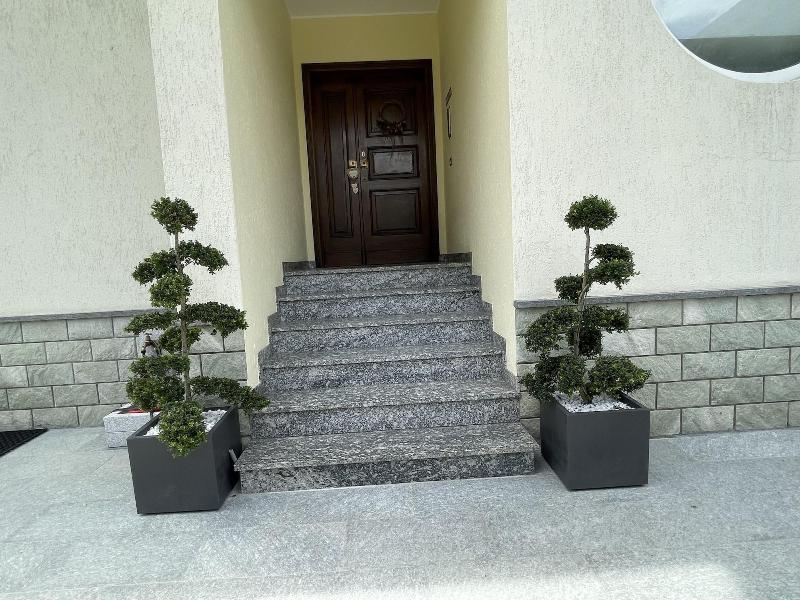 Casa Dolce Casa - Lobi