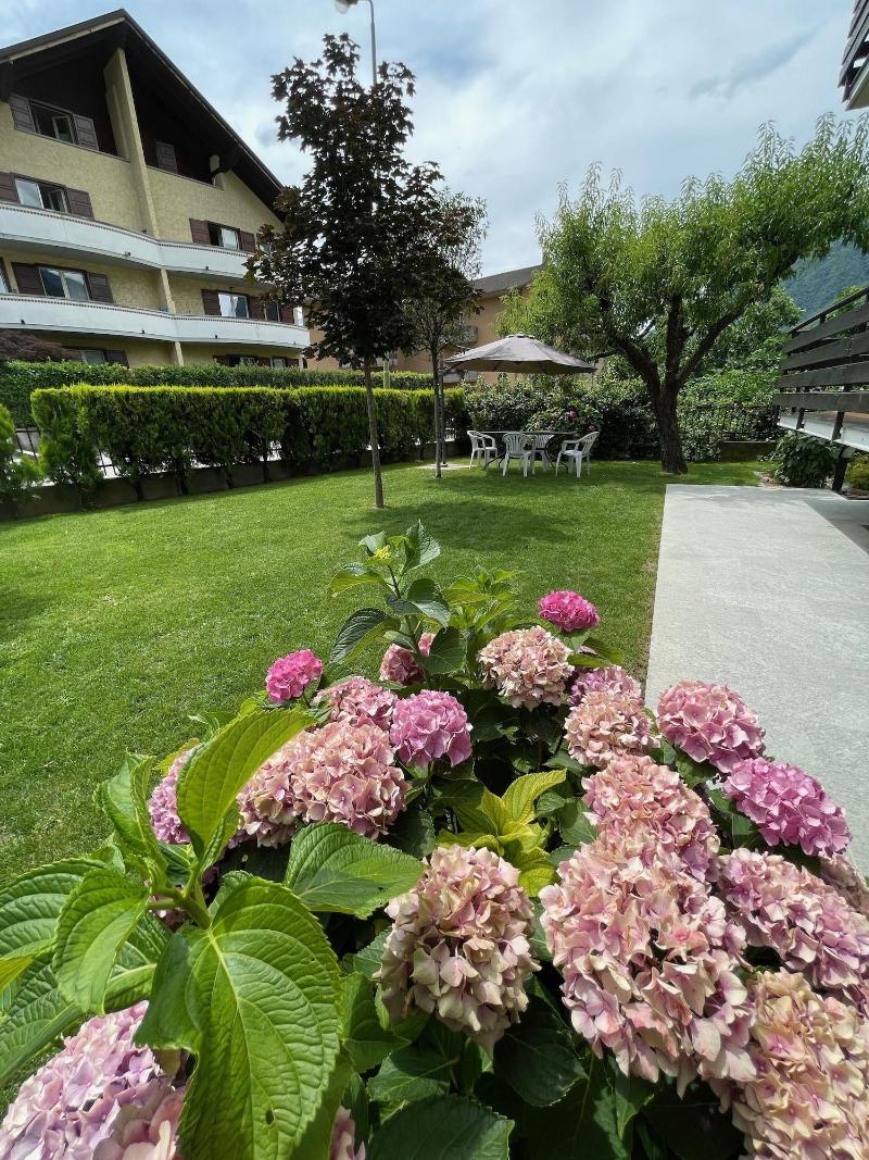 Casa Dolce Casa - Genel