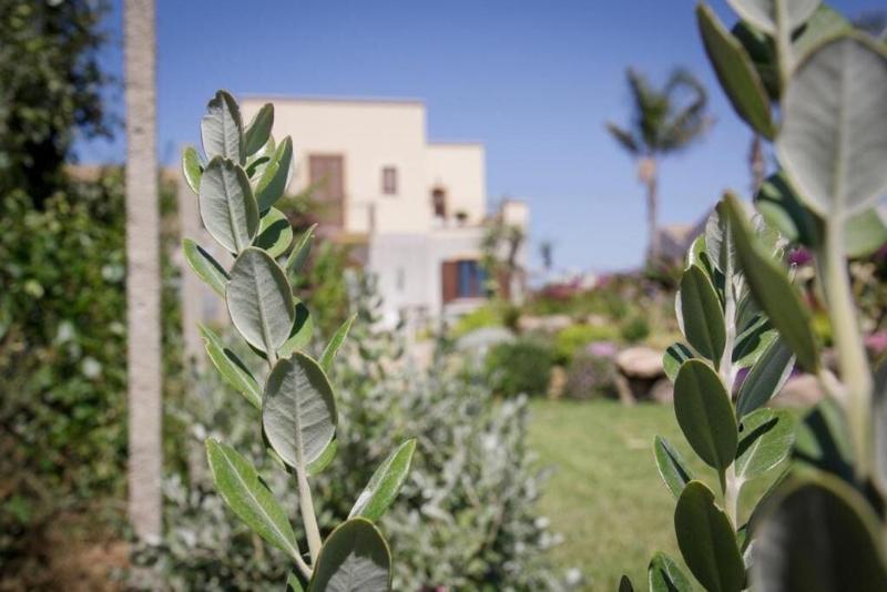Vista Egadi B&B - Genel
