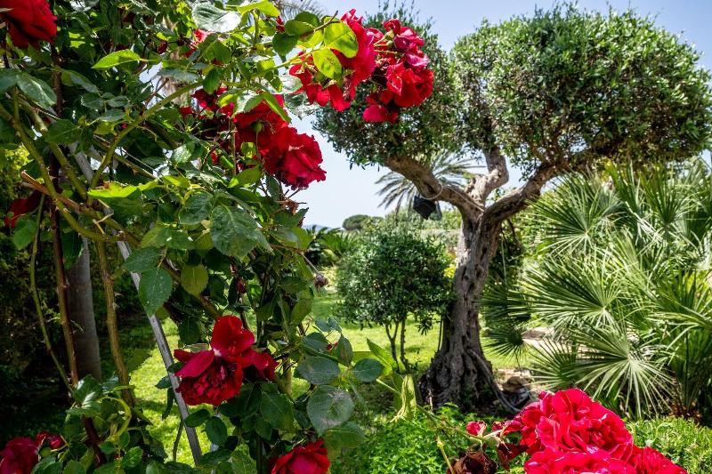 Vista Egadi B&B - Genel