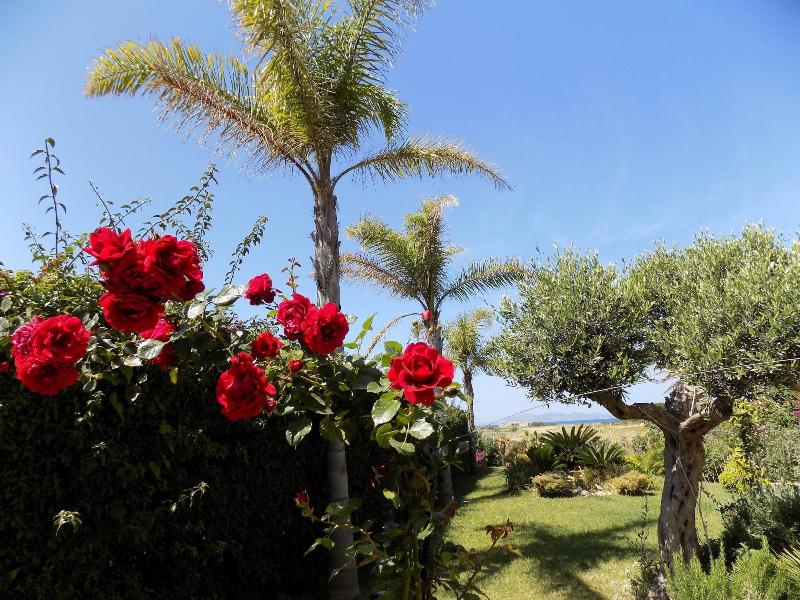 Vista Egadi B&B - Genel