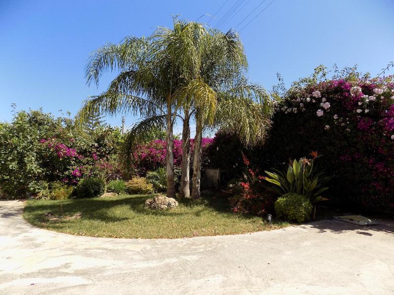 Vista Egadi B&B - Genel
