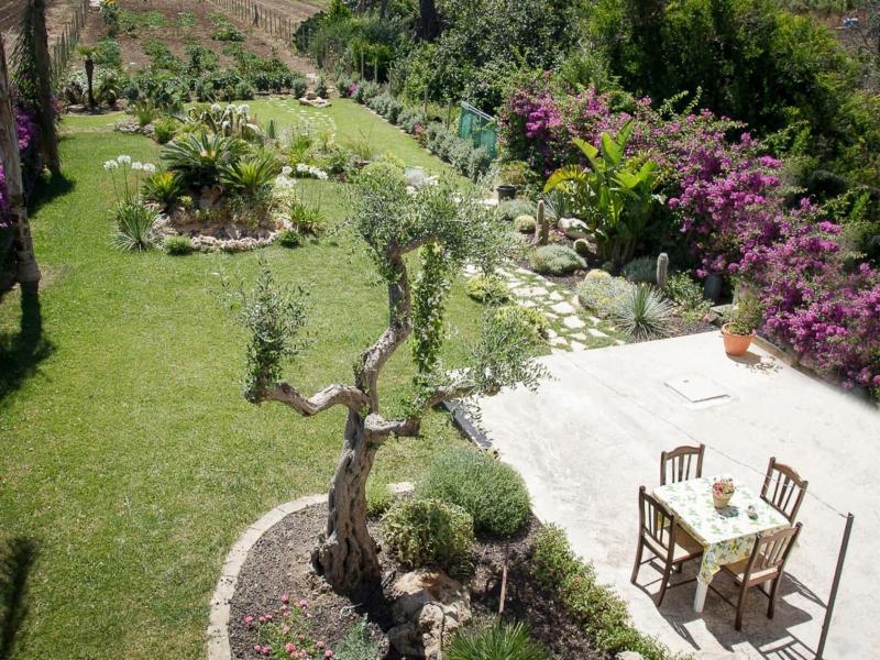 Vista Egadi B&B - Genel