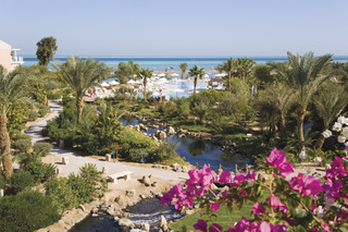 Movenpick Resort & Spa El Gouna otel fotoğrafı