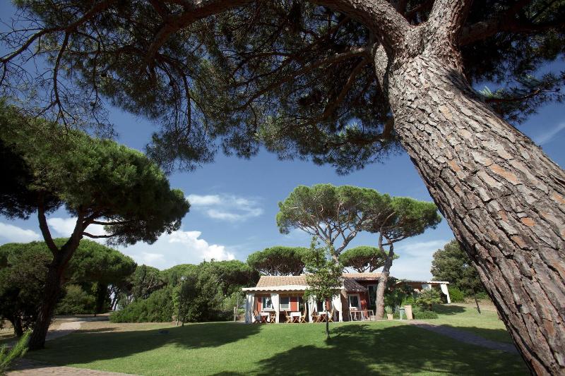 Pineta Residence - Genel