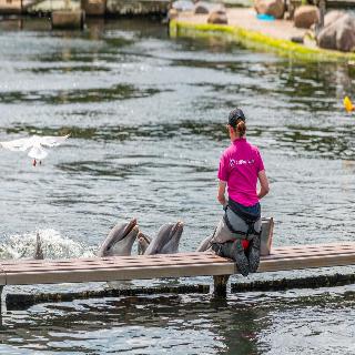 EuroParcs Resort Veluwemeer fotoÄŸrafÄ±