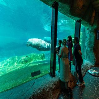 EuroParcs Resort Veluwemeer fotoÄŸrafÄ±