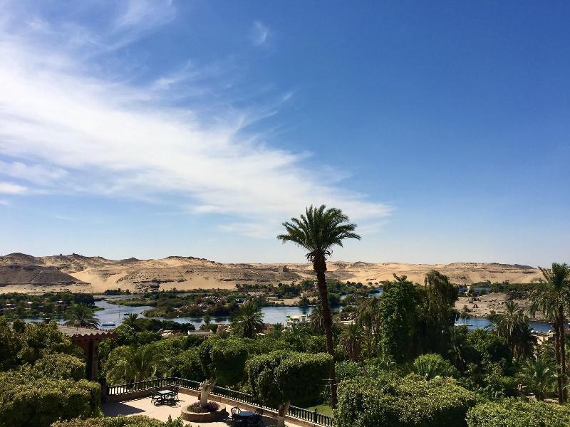 Basma Aswan - Teras
