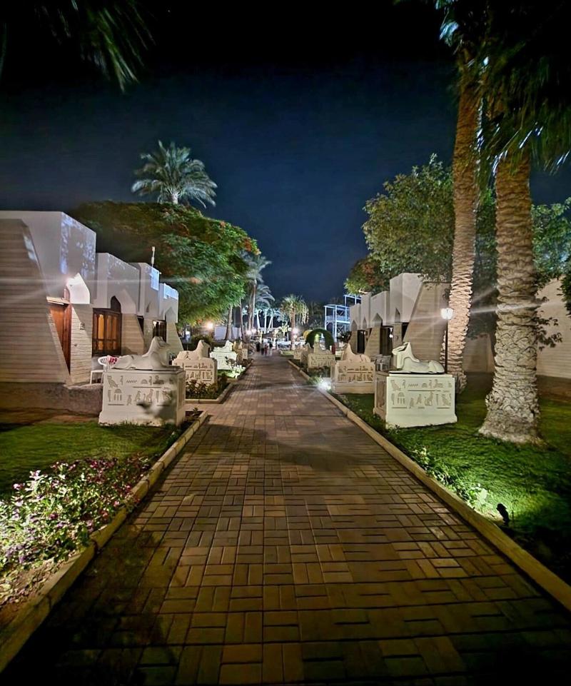 ZYA Regina Resort and Aqua Park Hurghada - Genel