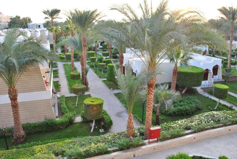 ZYA Regina Resort and Aqua Park Hurghada - Oda