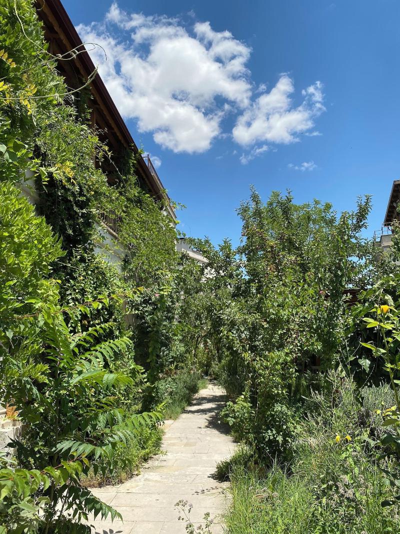 Kemal's Guest House - Oda