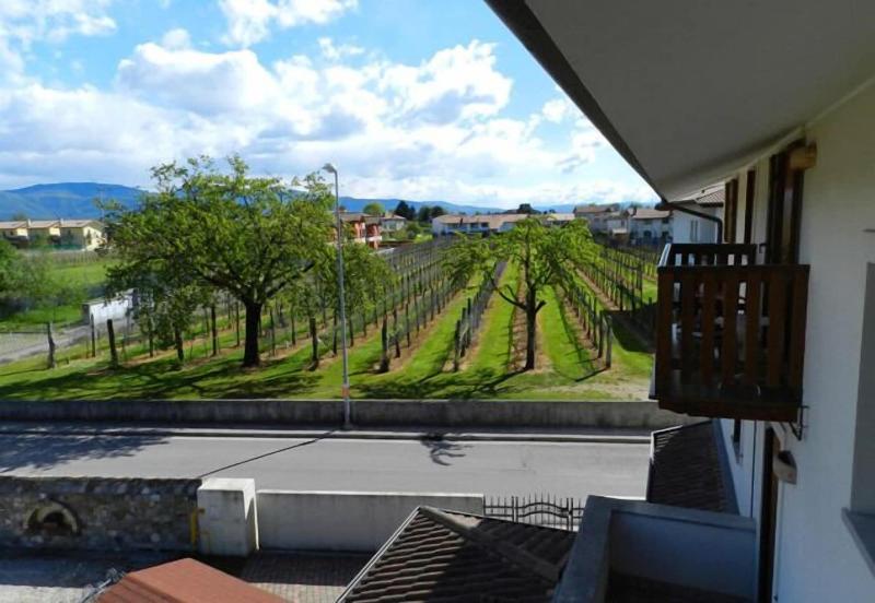 Agriturismo Tonutti - Oda