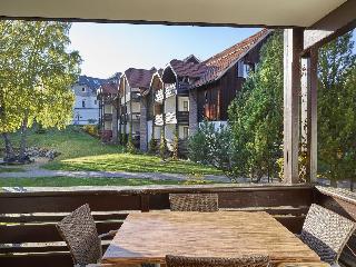 Hapimag Resort Braunlage fotoÄŸrafÄ±