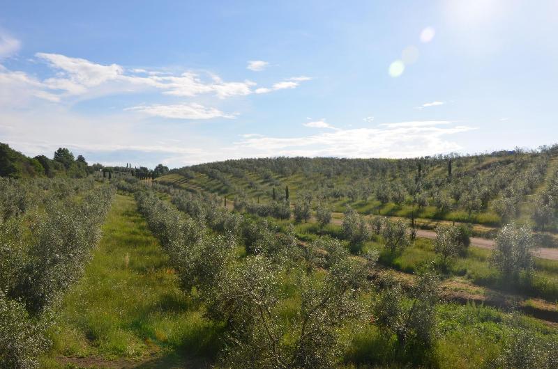 Il Podere di Marfisa - Genel