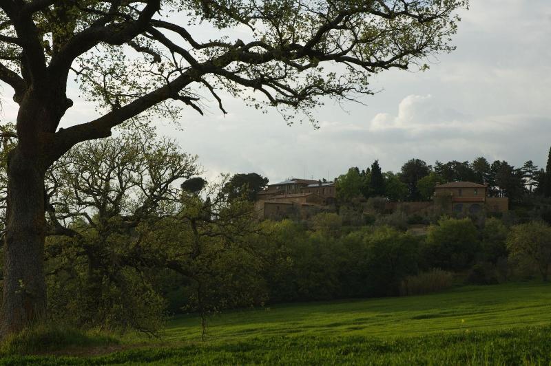 Borgo Sant'Ambrogio Resort - Genel