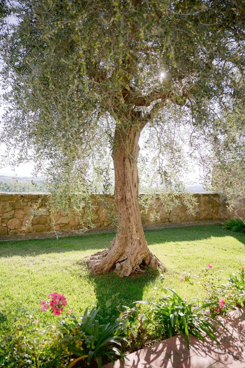 Borgo Sant'Ambrogio Resort - Genel