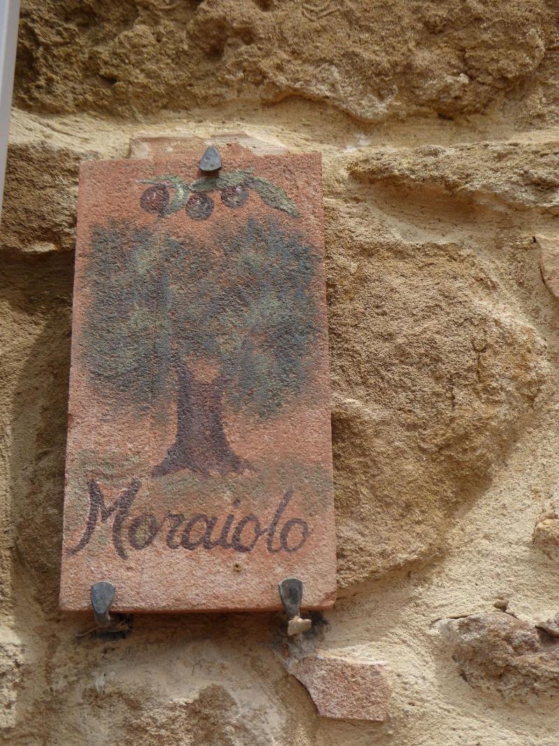 Borgo Sant'Ambrogio Resort - Genel