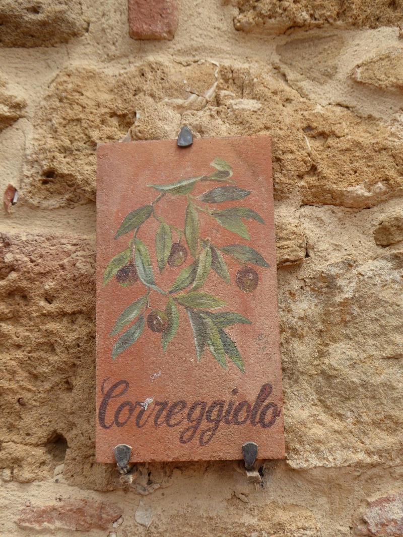 Borgo Sant'Ambrogio Resort - Oda