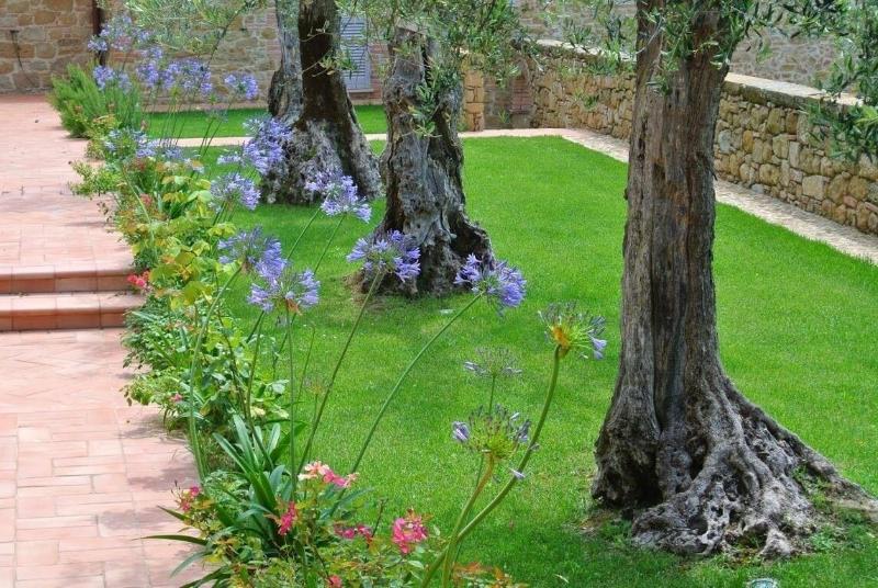 Borgo Sant'Ambrogio Resort - Teras