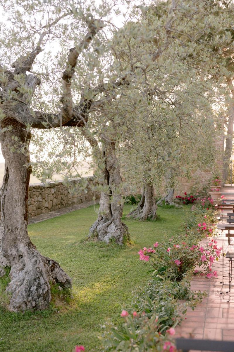 Borgo Sant'Ambrogio Resort - Teras