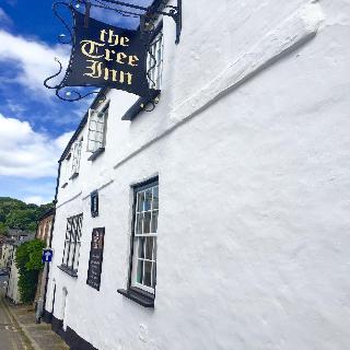 The Tree Inn fotoÄŸrafÄ±