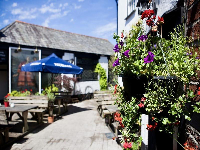 The Tree Inn - Genel