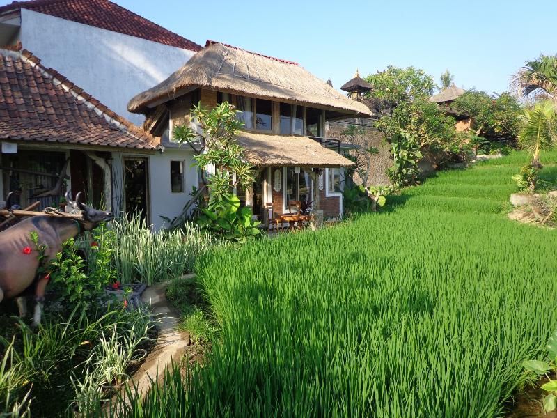KTS Balinese Villas by ZUZU - Genel