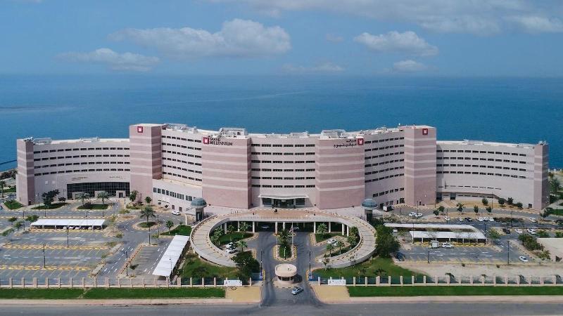 Grand Millennium Gizan - Genel
