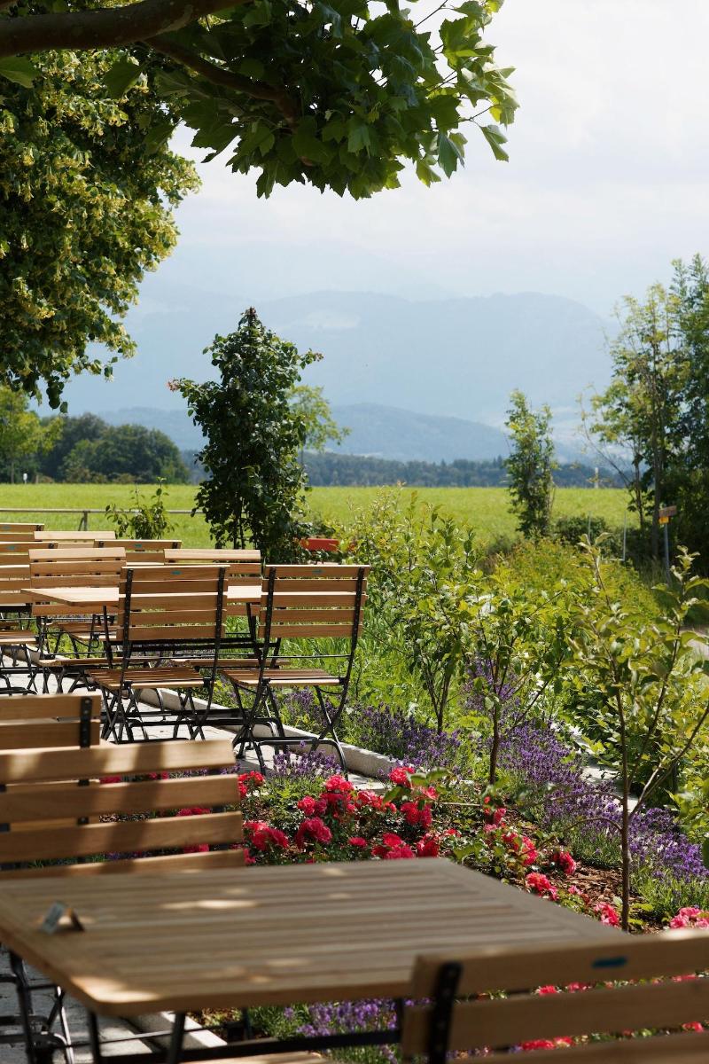 Landgasthof Hasenstrick - Teras