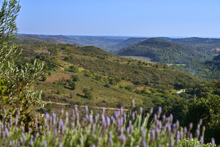 Quinta do Marco fotoÄŸrafÄ±