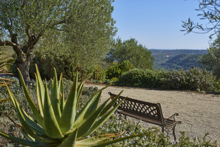 Quinta do Marco fotoÄŸrafÄ±