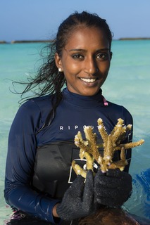 Niva Kurumba Maldives fotoÄŸrafÄ±