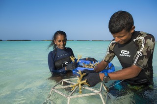 Niva Kurumba Maldives fotoÄŸrafÄ±