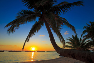 Niva Kurumba Maldives fotoÄŸrafÄ±