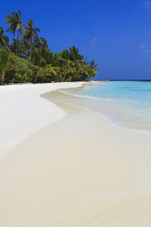 Niva Kurumba Maldives fotoÄŸrafÄ±