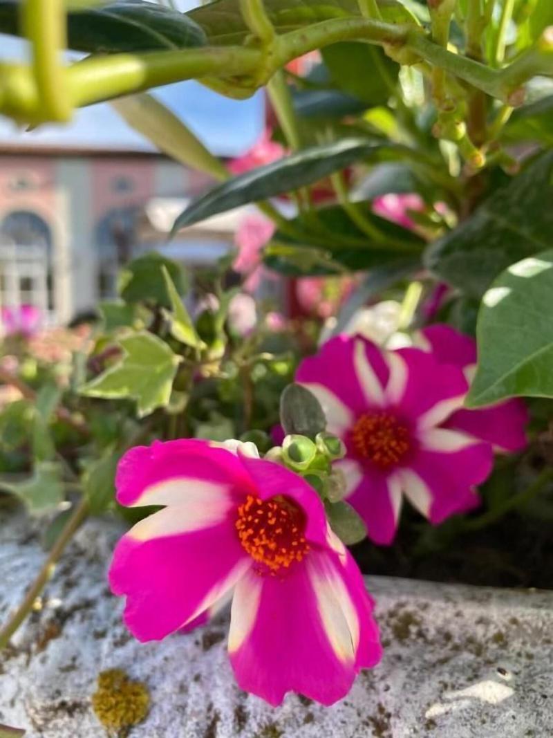 CÃ  Rocca Relais - Genel