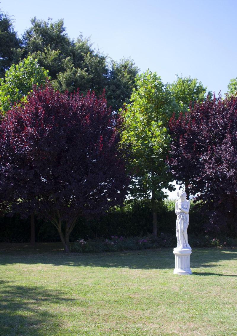 CÃ  Rocca Relais - Genel