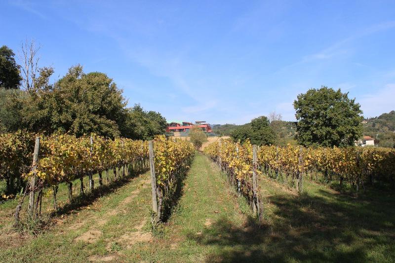 Buonamico Wine Resort - Genel