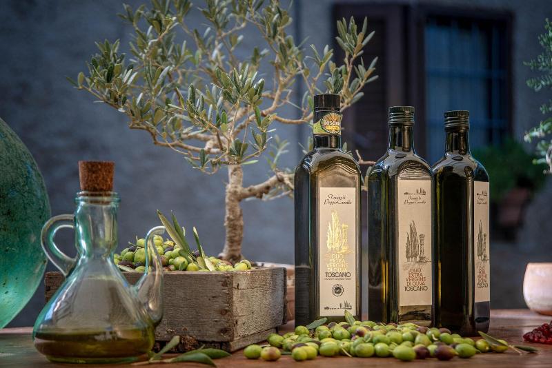 Tenuta di Poggio Cavallo - Aktivite
