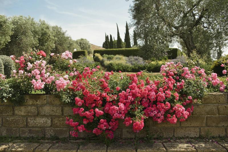 Tenuta di Poggio Cavallo - Aktivite