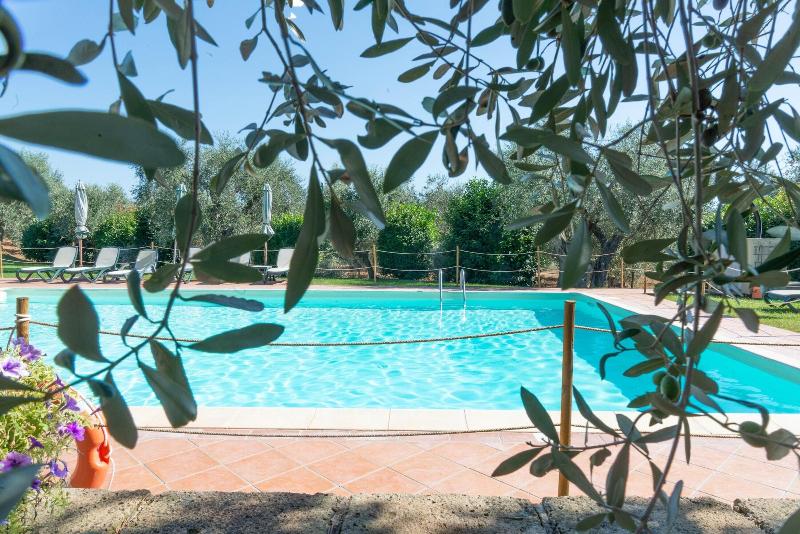 Tenuta di Poggio Cavallo - Aktivite