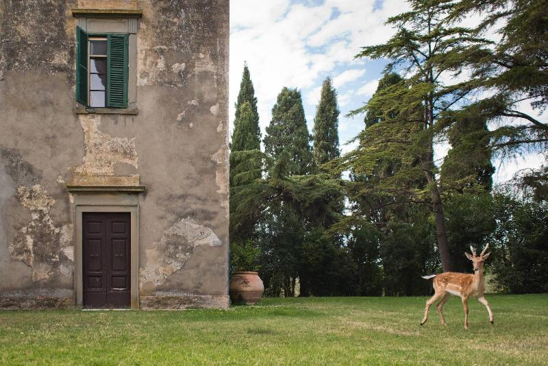 Tenuta di Poggio Cavallo - Genel