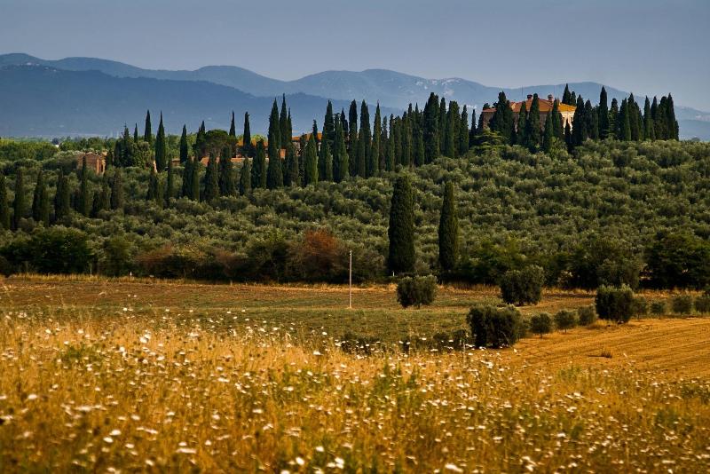 Tenuta di Poggio Cavallo - Genel