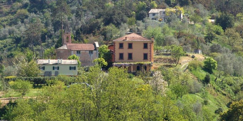 Villanova - Nature & Wellness - Genel