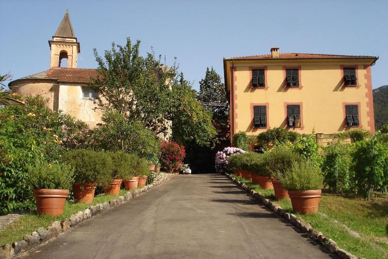 Villanova - Nature & Wellness - Genel