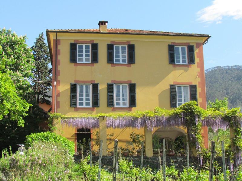 Villanova - Nature & Wellness - Genel