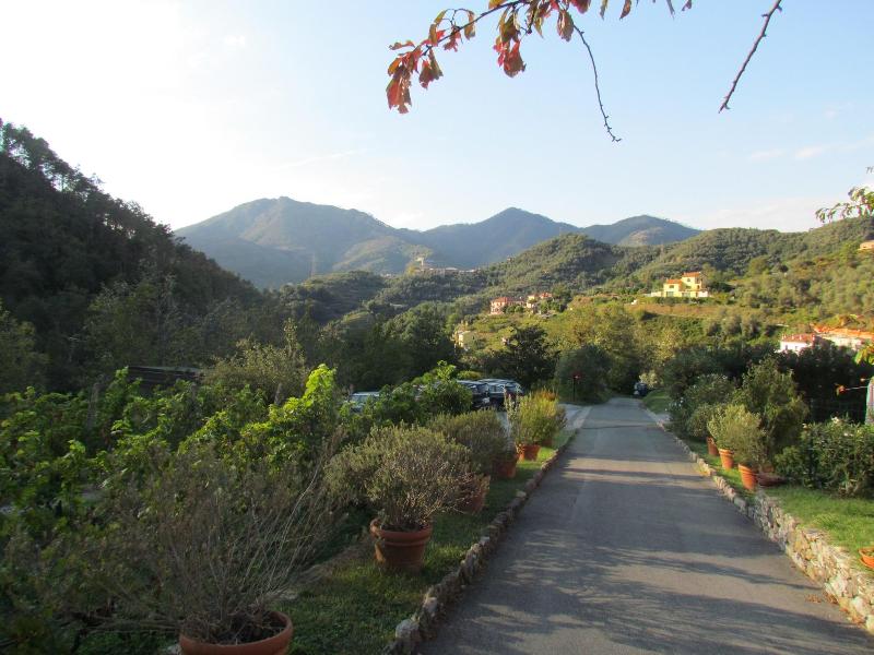 Villanova - Nature & Wellness - Genel