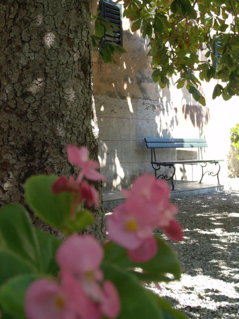 Villanova - Nature & Wellness - Oda